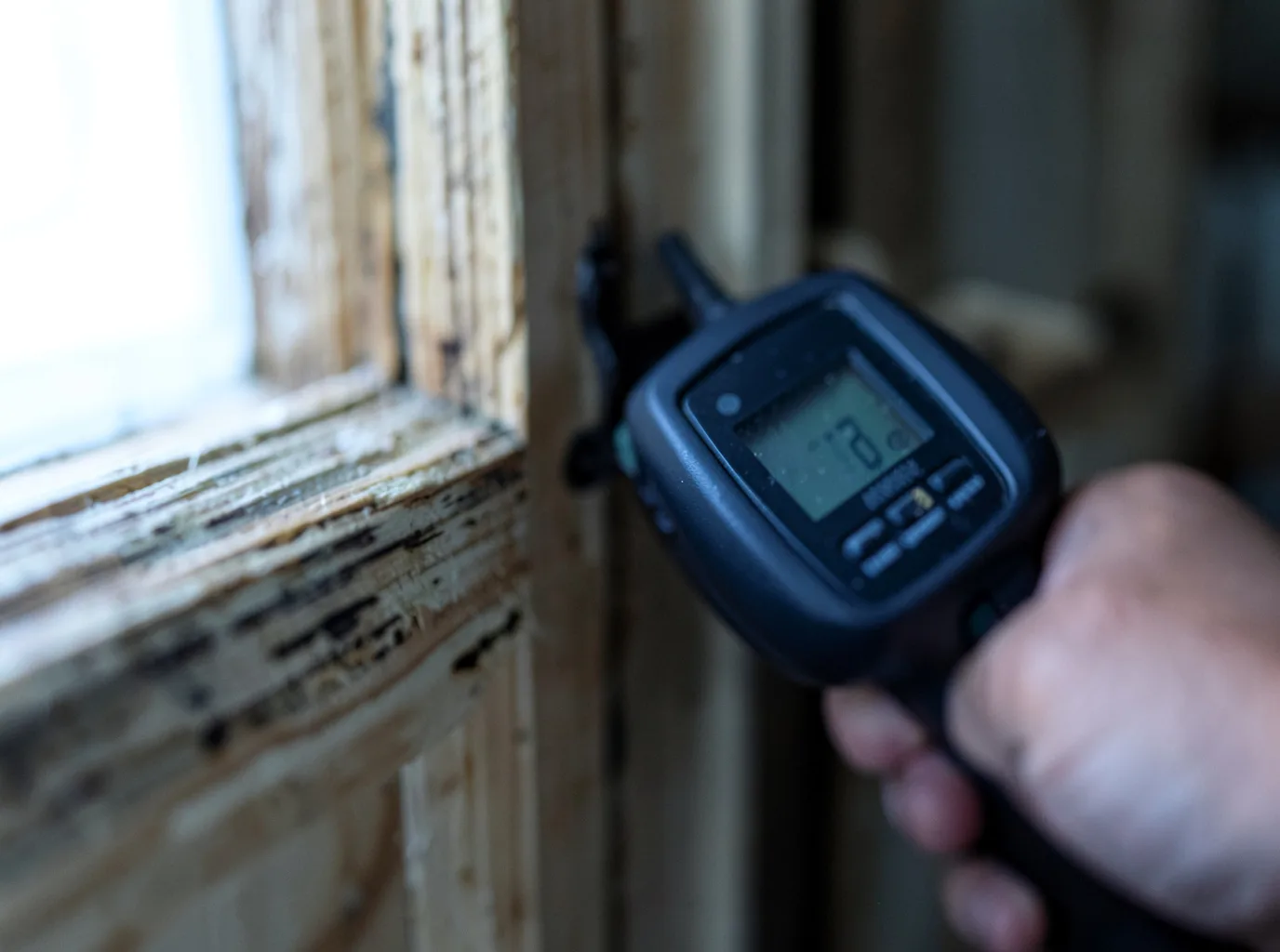 Moisture Inspection And Documentation in Camas, WA